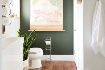 bathroom, olive green wall
