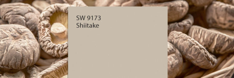 Color Of The Month September 2019 Shiitake Tinted By Sherwin Williams - Shiitake Mushroom Paint Color Sherwin Williams
