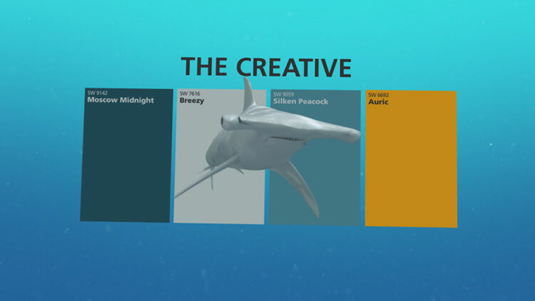 3 Colorful Personalities of Shark Week | Tinted