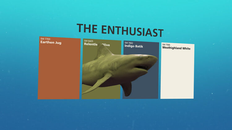 3 Colorful Personalities of Shark Week | Tinted