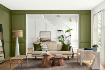 Color of the Month June 2022:  Basque Green