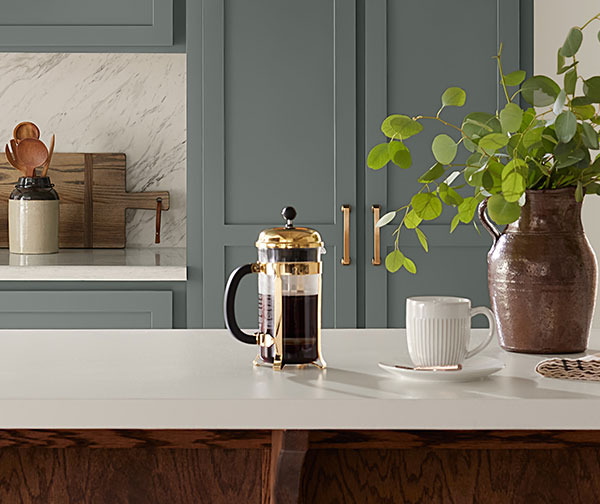Closeup image of a french press, coffee cup and decorative plant in a kitchen.