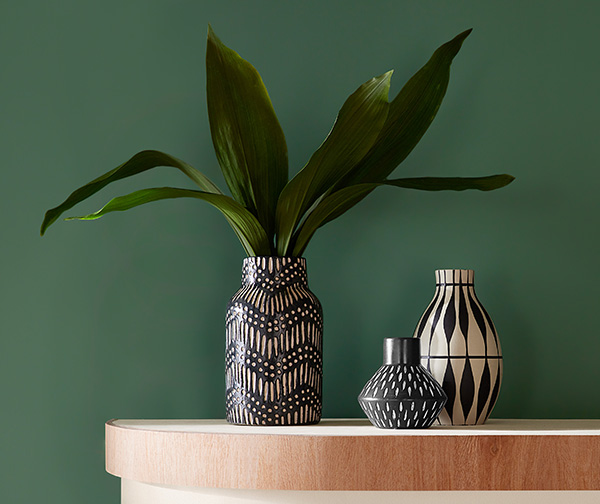 Decorative vases and plant in front of a wall painted Kale Green SW 6460.