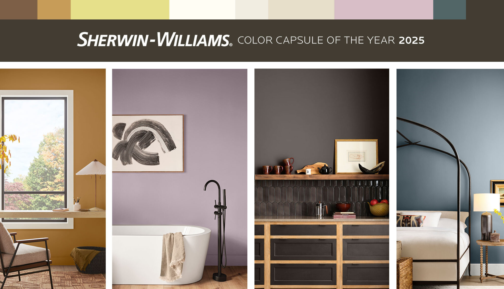 Celebrate Color with Our 2025 Color Capsule of the Year | Tinted